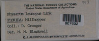 Image Associated With the Occurence